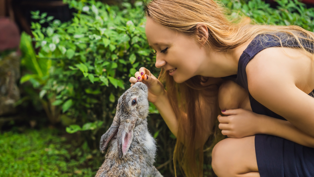 Hands guarding a bunny rabbit to representing cruelty-free