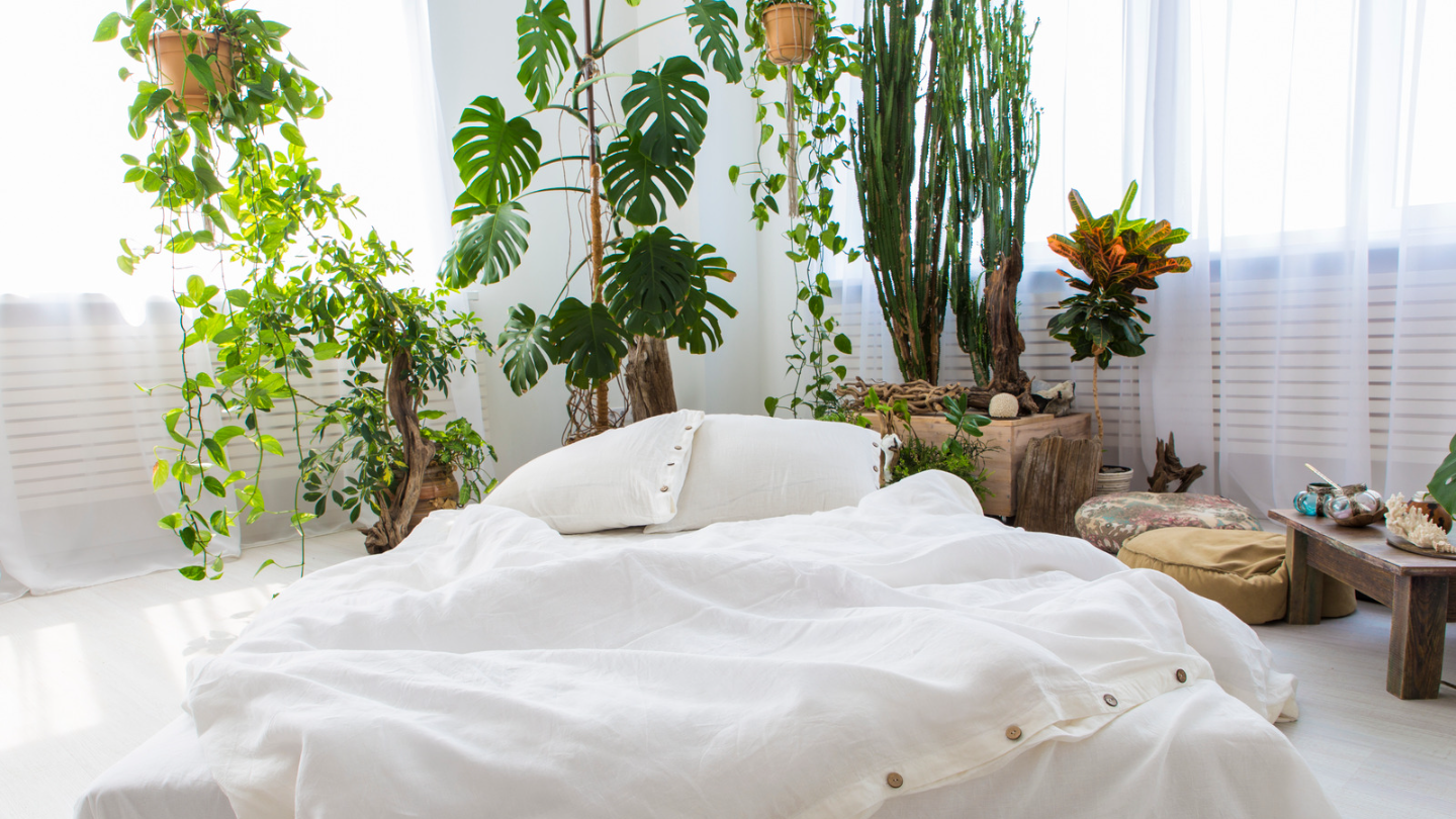 eco-friendly bedroom with large plants and a white linen duvet on bed