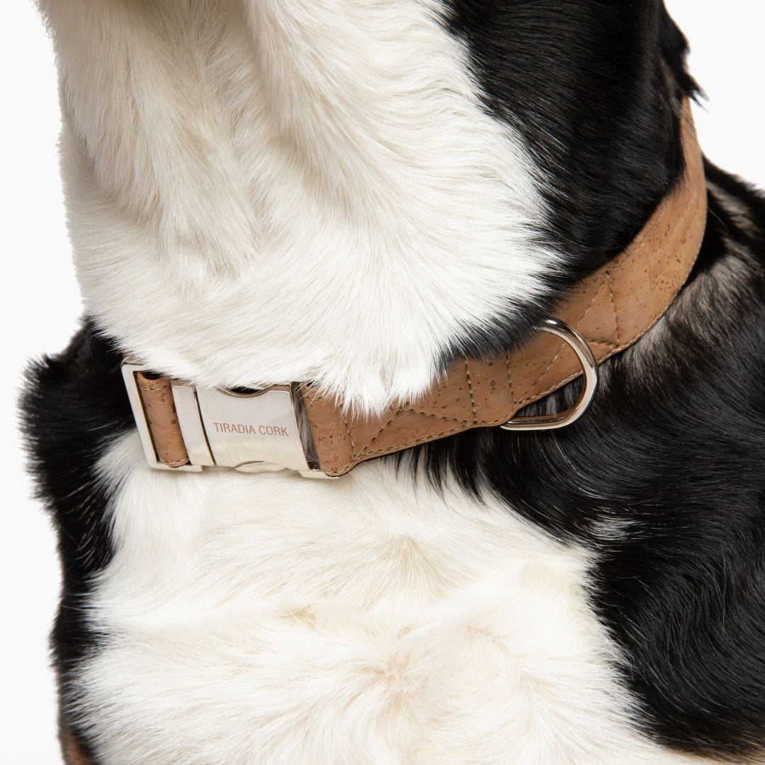 VEGAN DOG Collar | Large Breeds