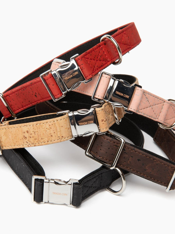 VEGAN DOG Collar | Small-Medium Breeds